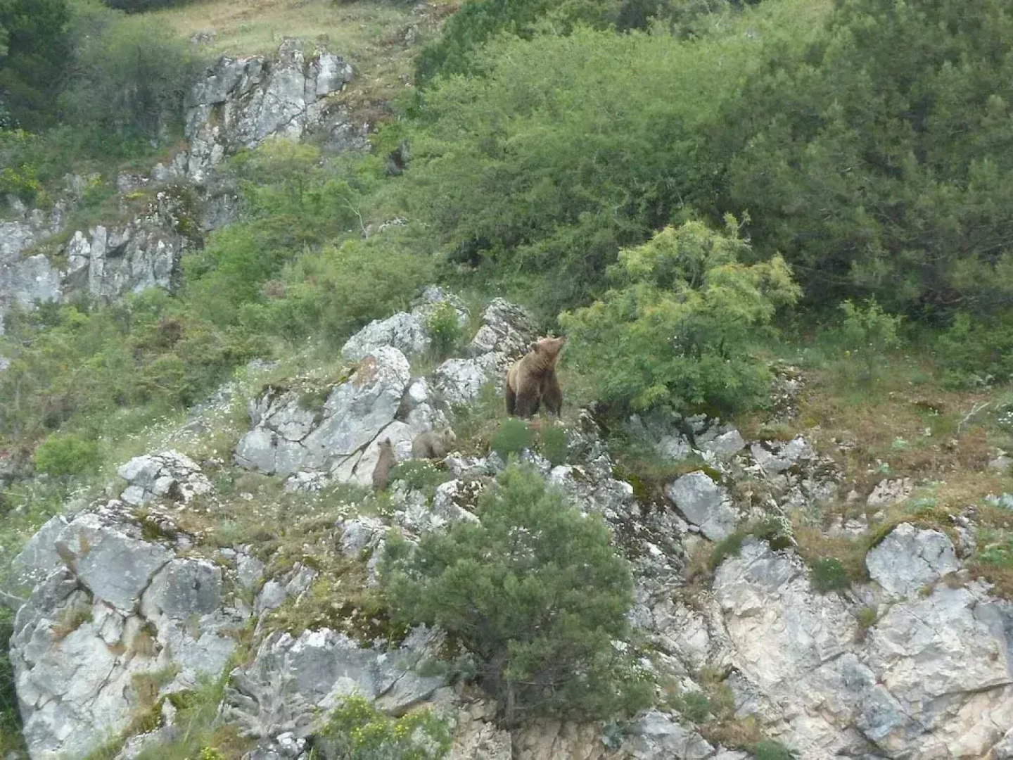 Agios Germanos Traditional Hotel