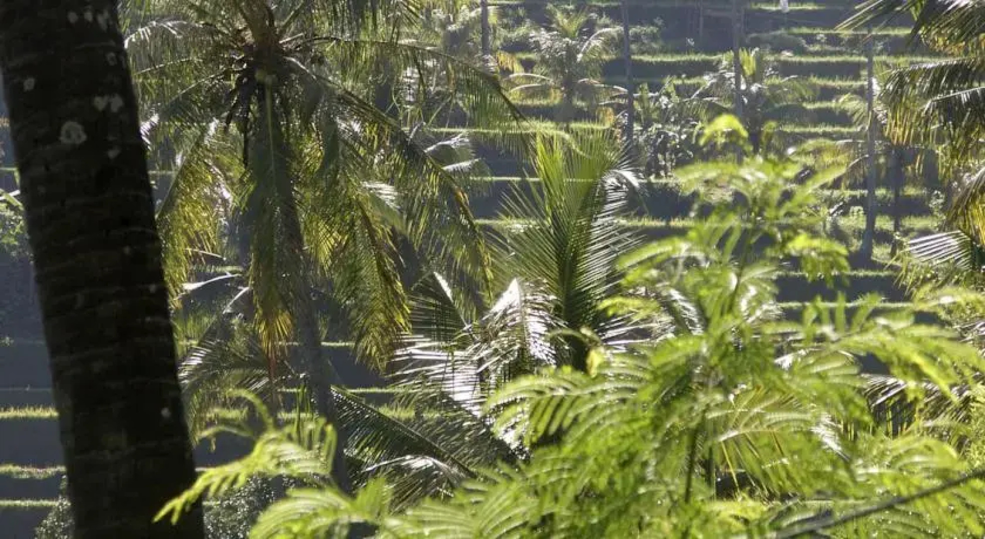 Kundalini Beach Houses
