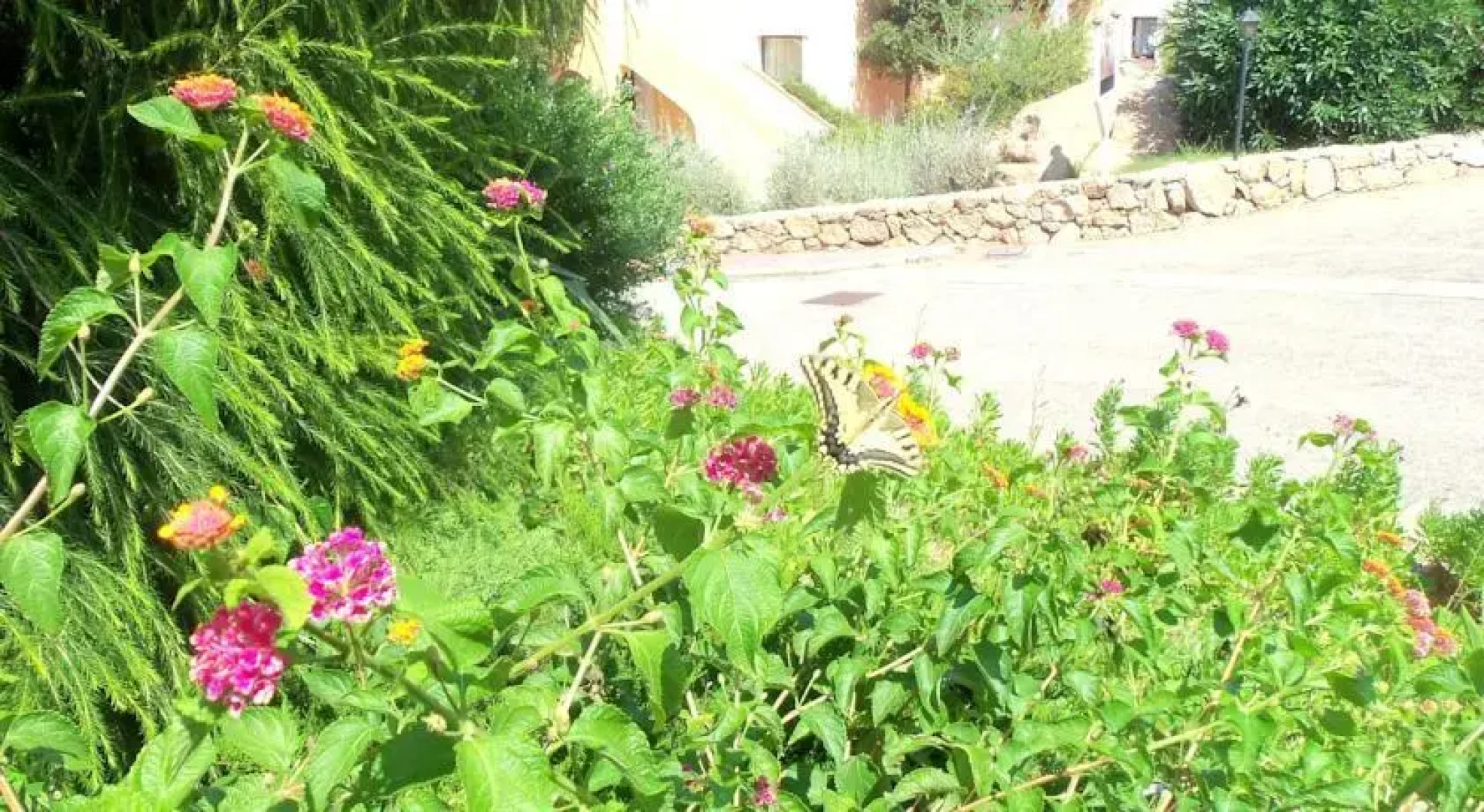 Saraceno Village Boschetto Holiday