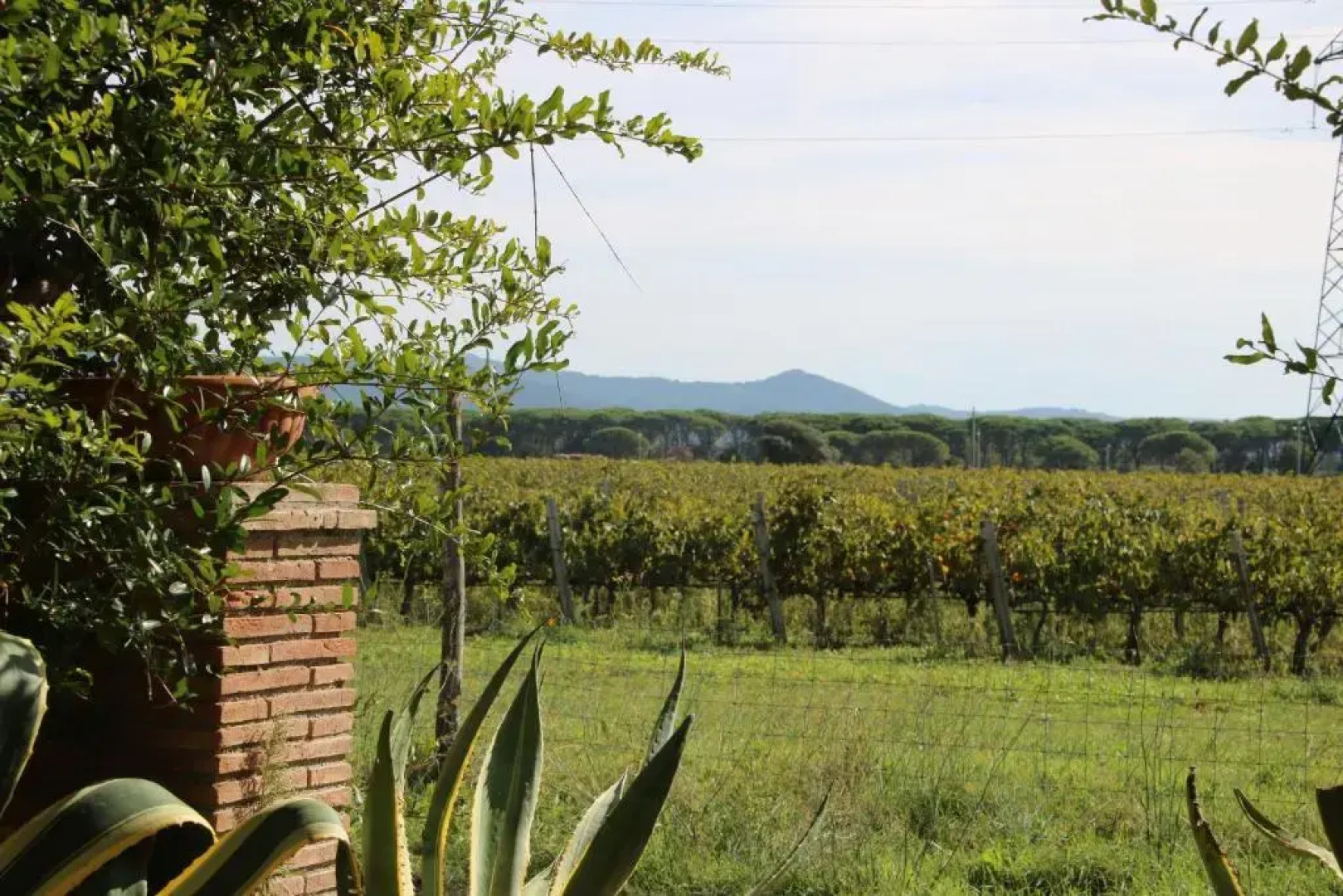 Podere Campo alle Serpi