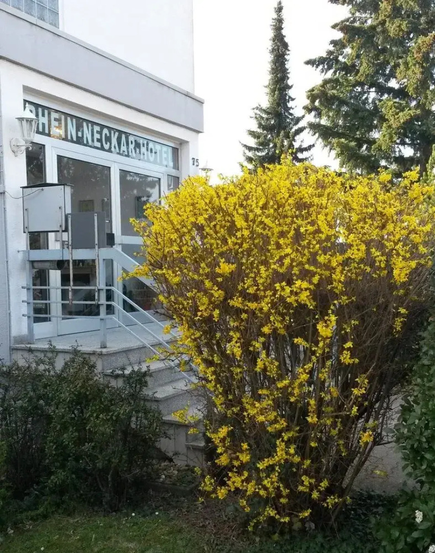 Rhein-Neckar-Hotel Heidelberg