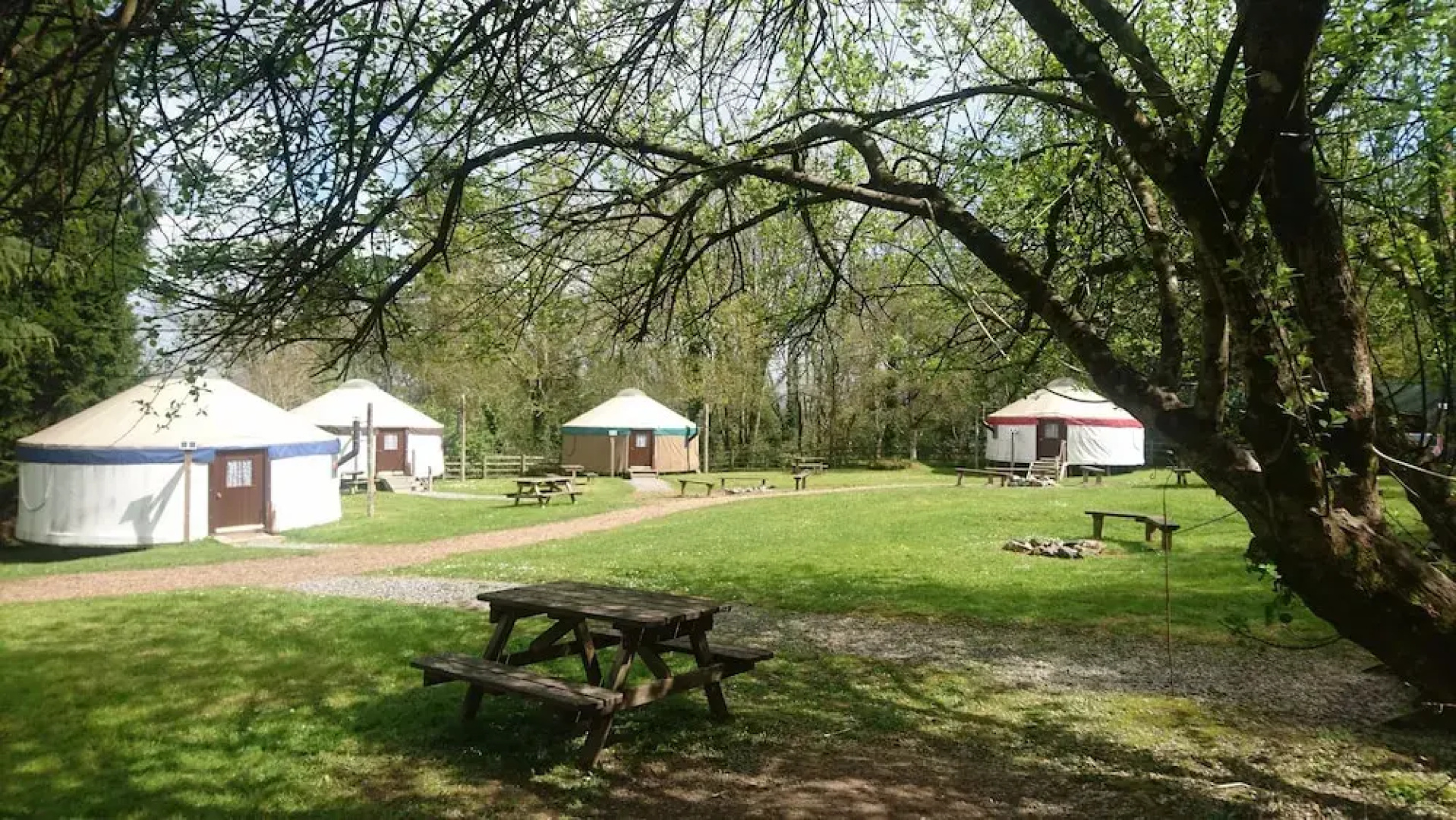 Yurtcamp Devon