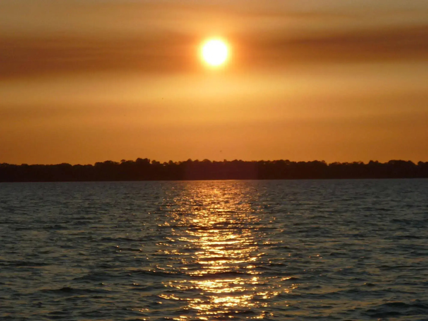 Tingeera Beachfront Apartments