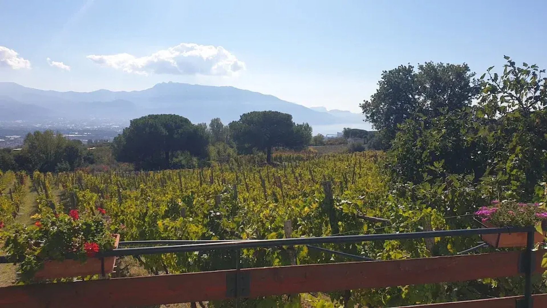 Room-apartment Pompeii Rendine