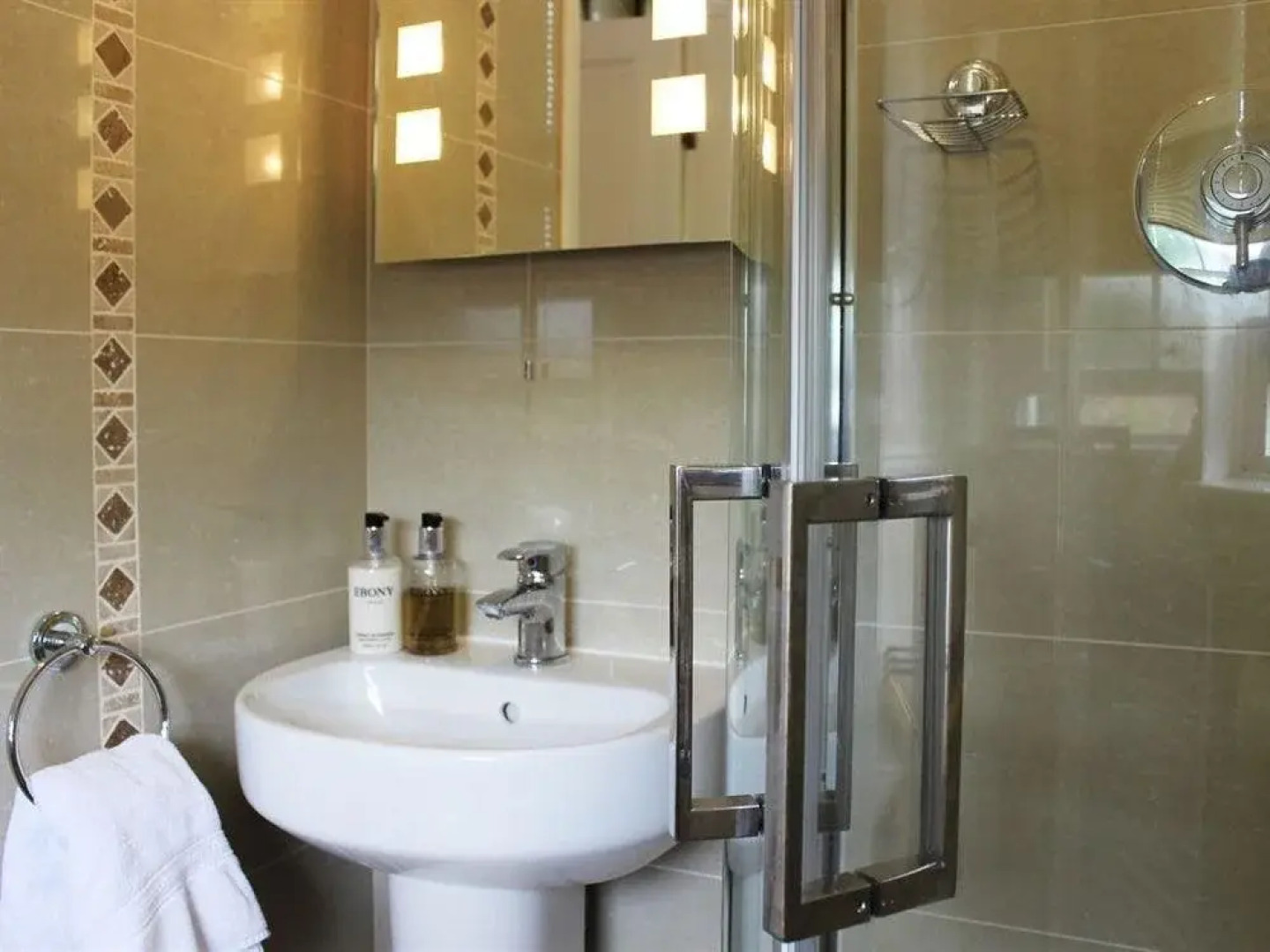 The Bishop And The Bison