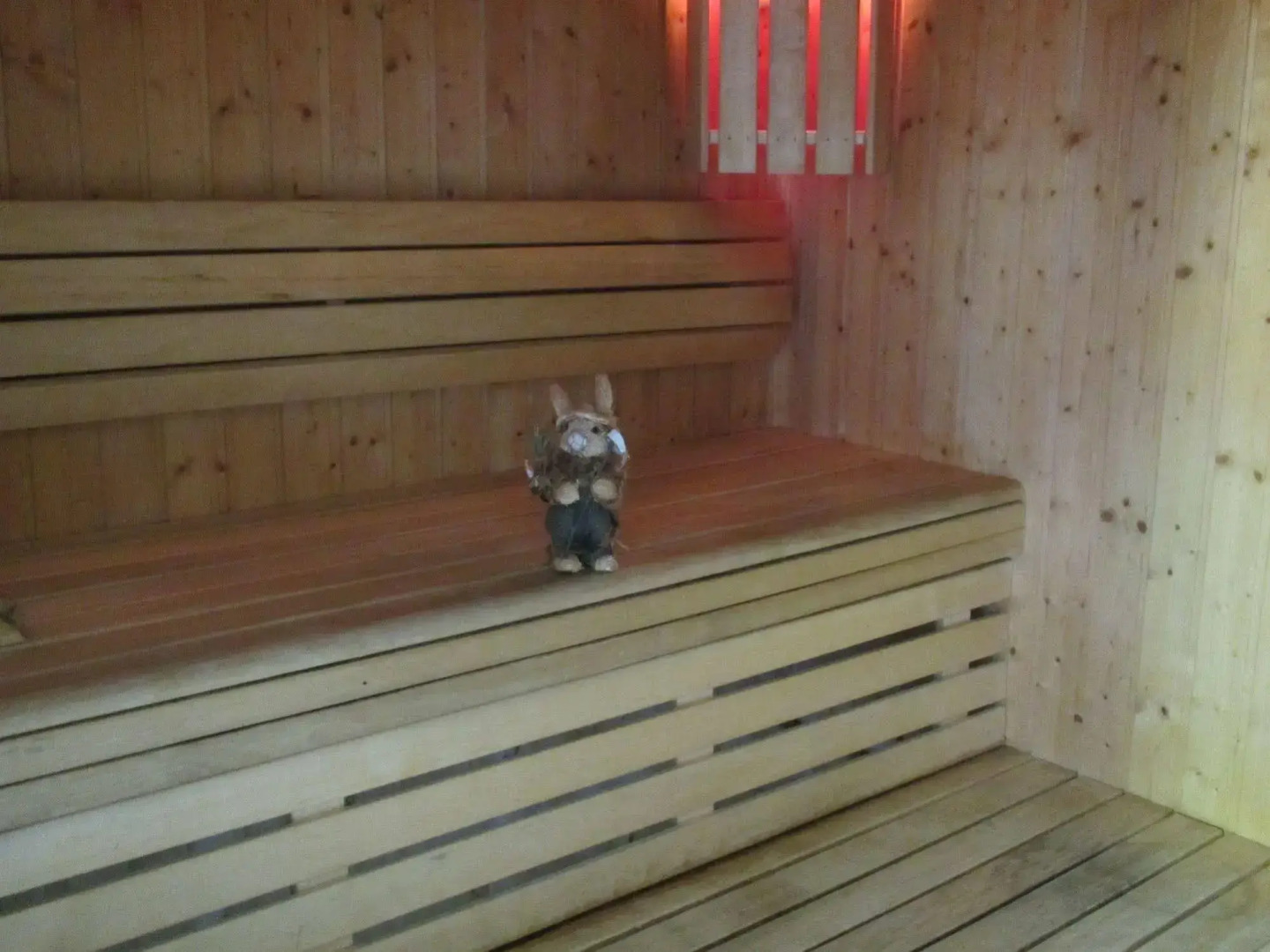 O - Sancy Résidence de Tourisme