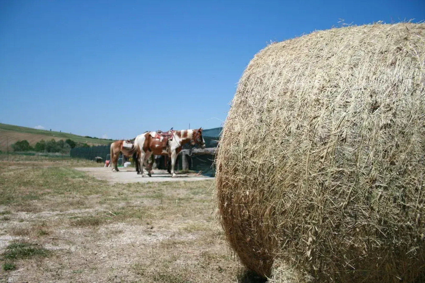 Agriturismo Bagnacci