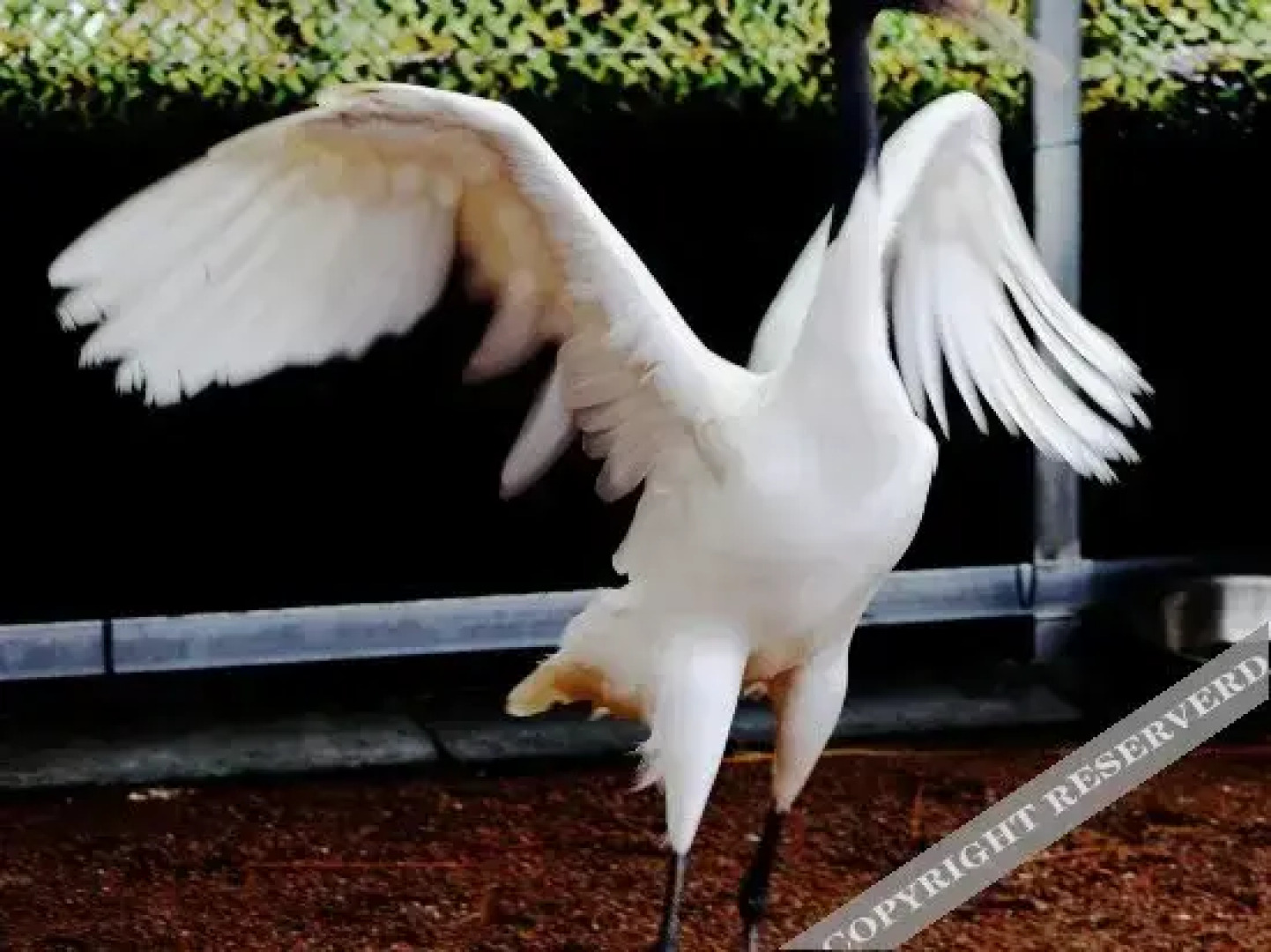 Tiantaishan Hotspring Resort Villa