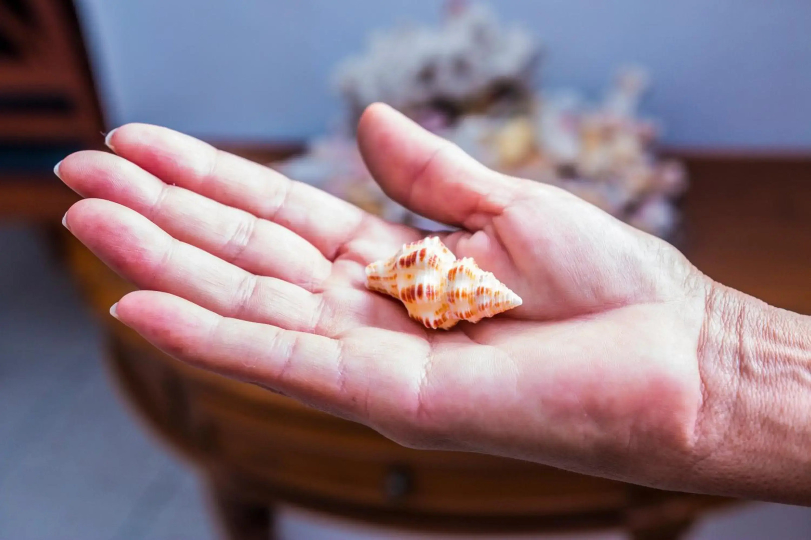 Le Manglier Guest House