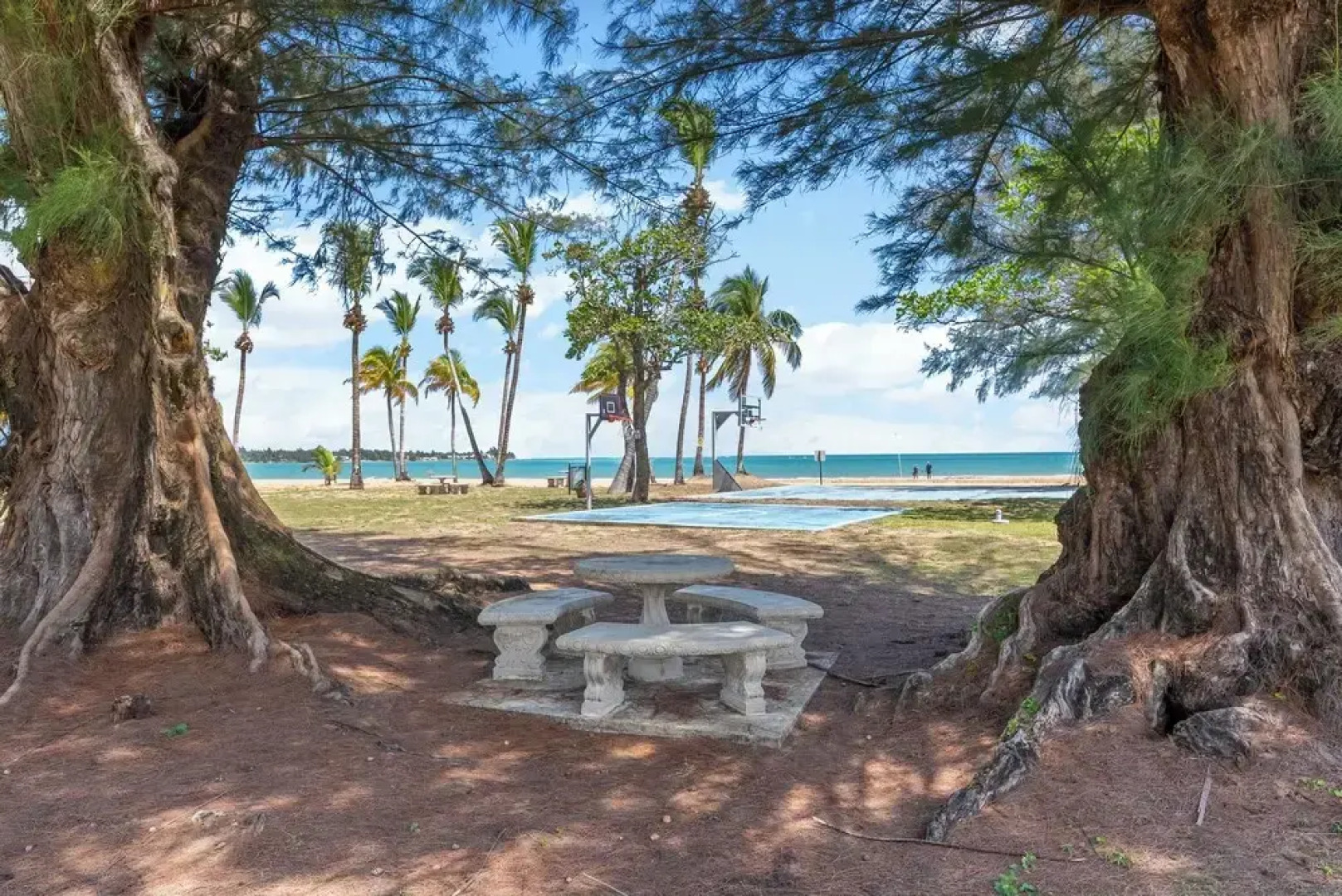 Playas Del Yunque Condo: Pool & Beach Access