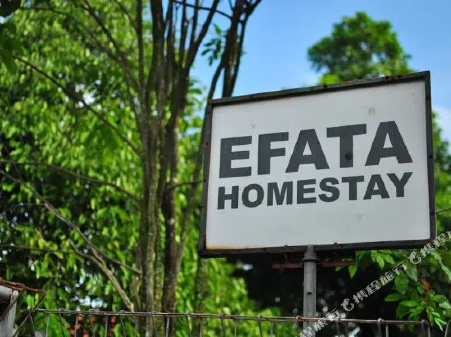 Efata Homestay