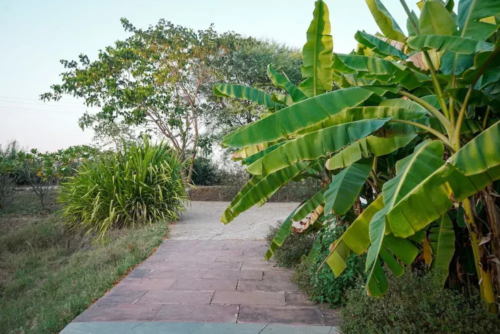 Beyond Stay Mahua Tola Tadoba