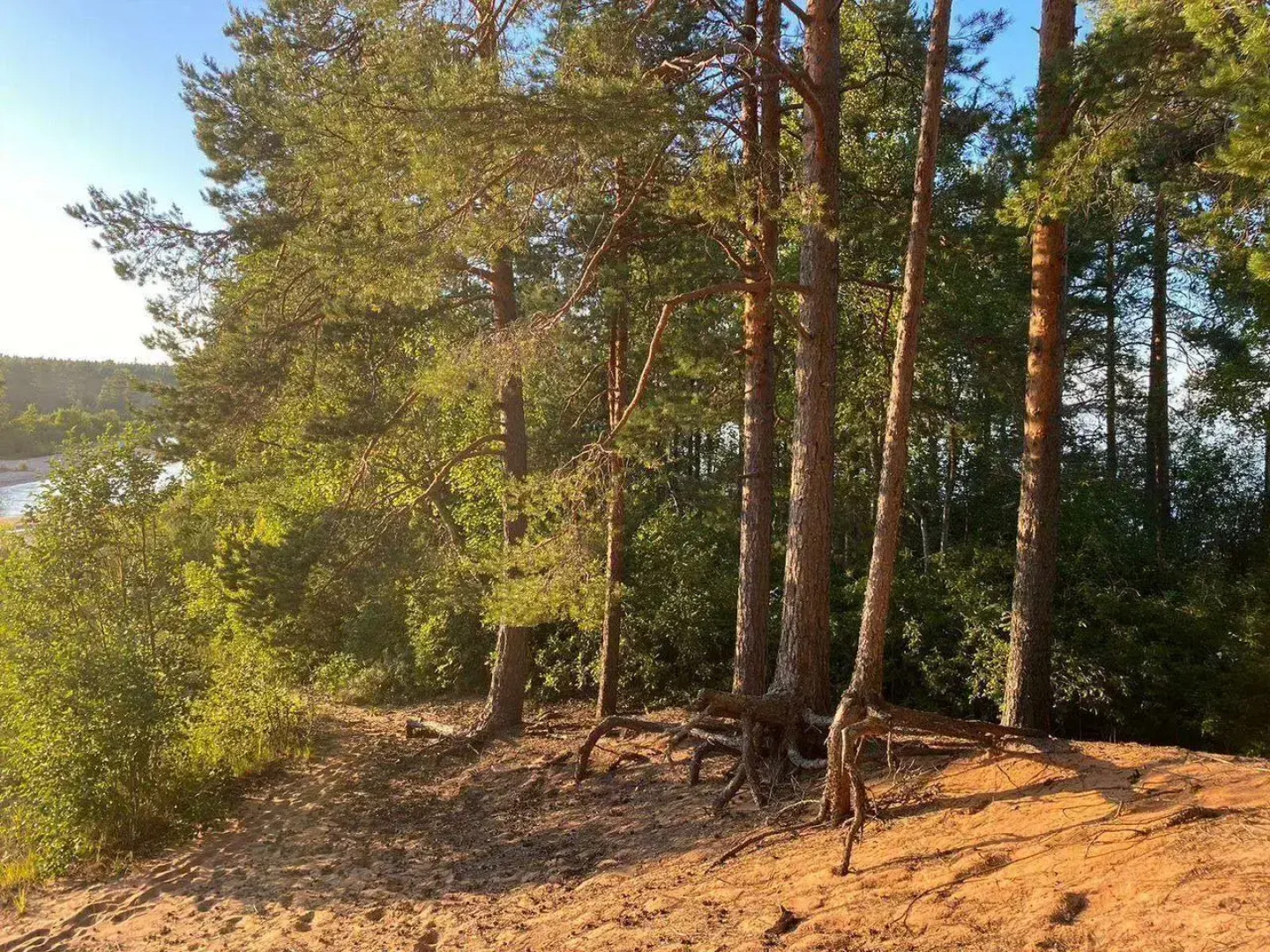 Дом на улице Набережная 31