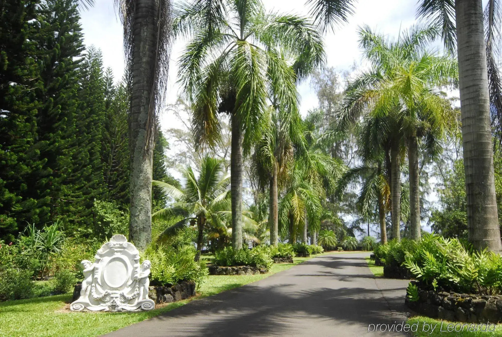 Palms Cliff House Inn
