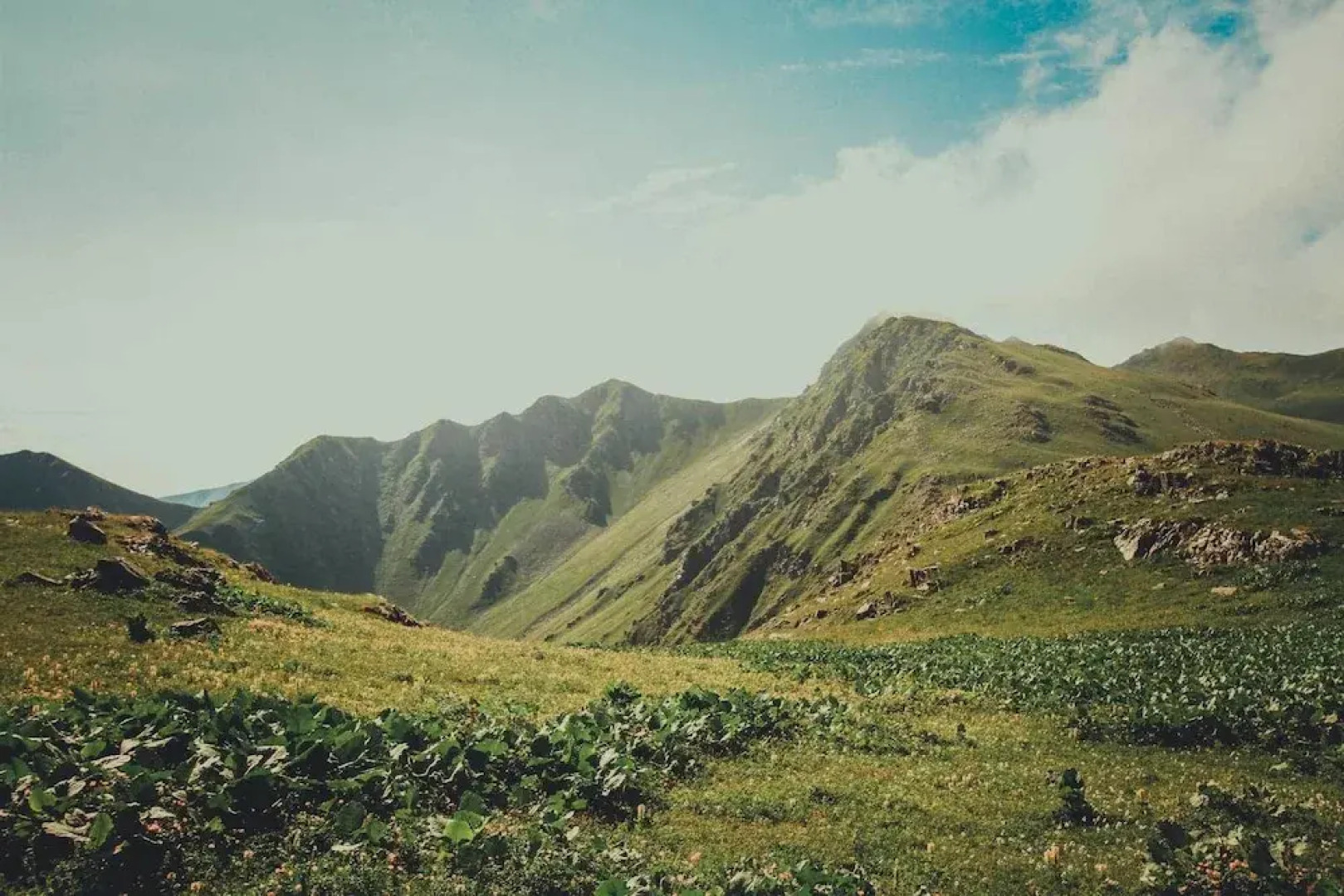 Duende Treehouses & Cocktails