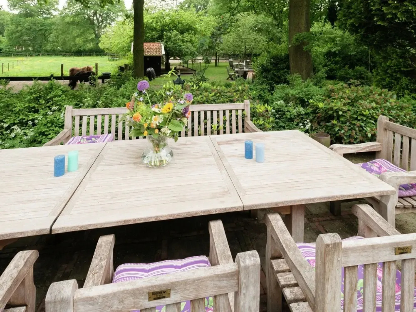 Secluded Farmhouse in Balkbrug with Hot Tub