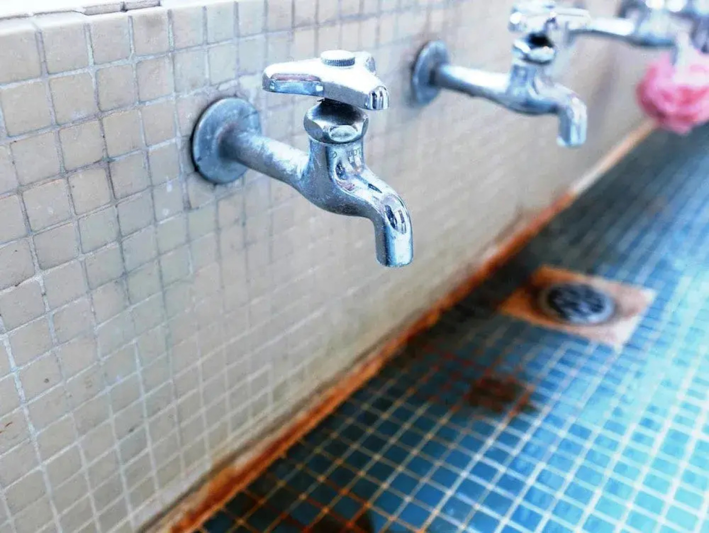 Kashiwaya Ryokan Guesthouse&Sharedhouse - Hostel