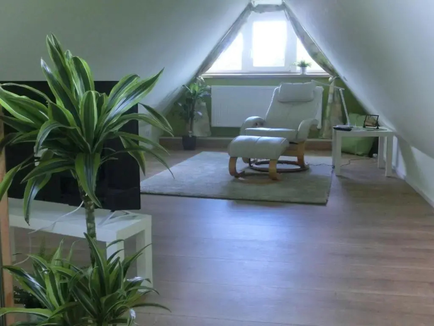 Ferienhaus Cartoonwerkstatt