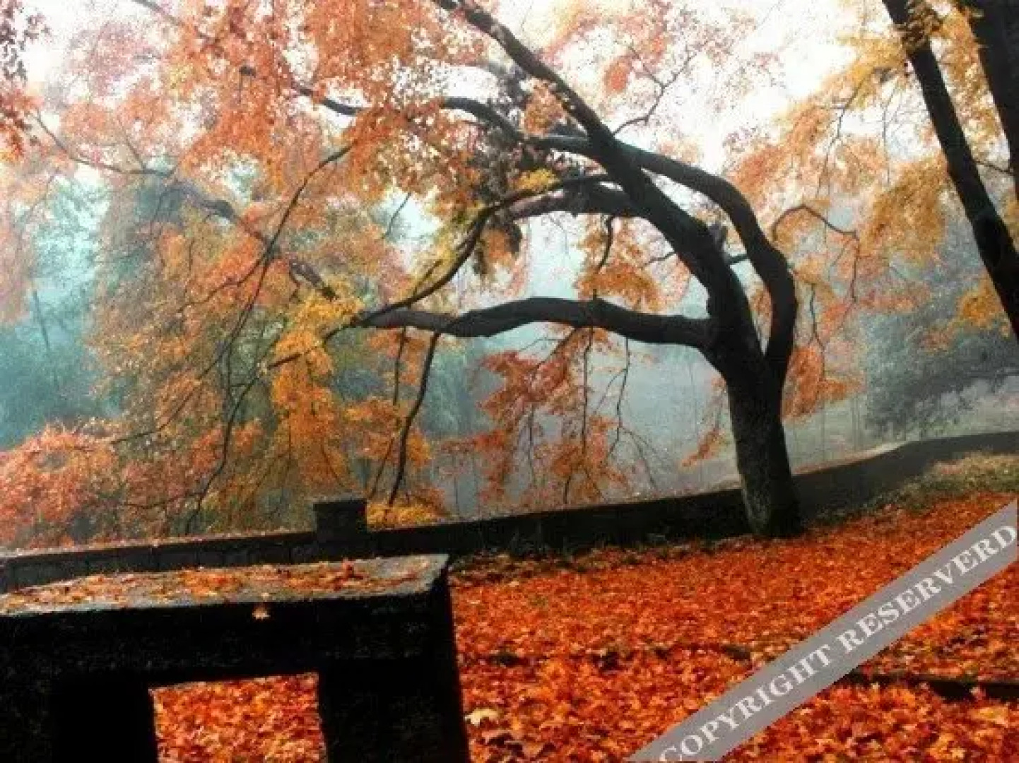 Zhuling Shanju Hotel