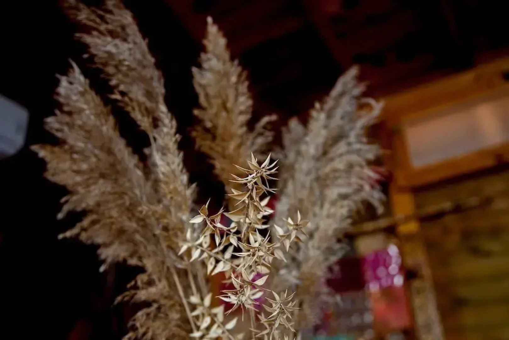 Shambala Lodge Hotel