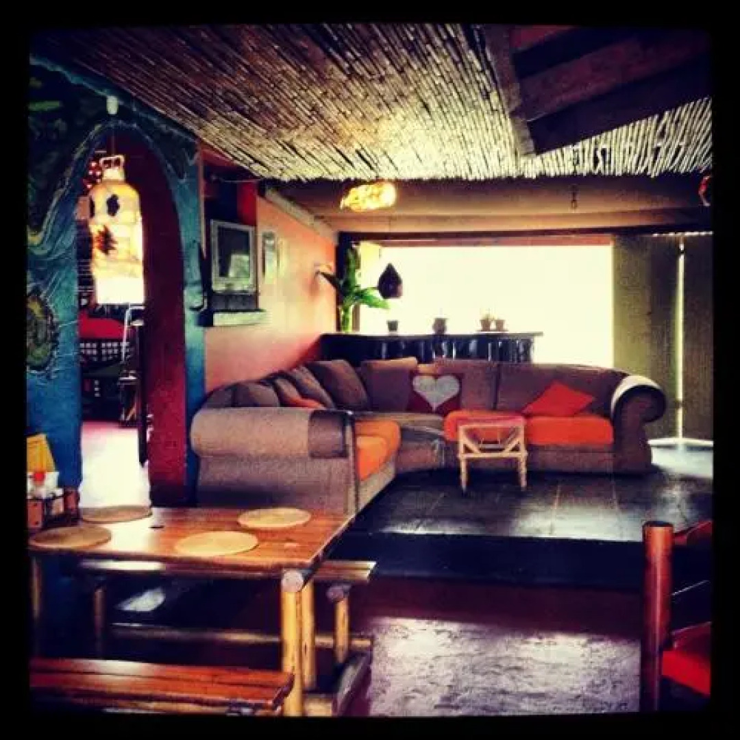 Jungle Monkey Backpackers