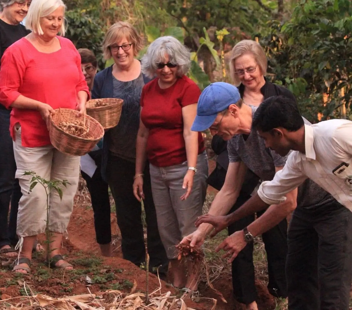 Carmelia Haven Resort