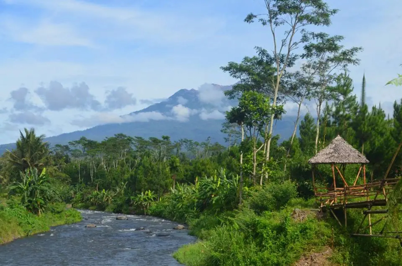 Harris Ijen Crater Homestay by ZUZU