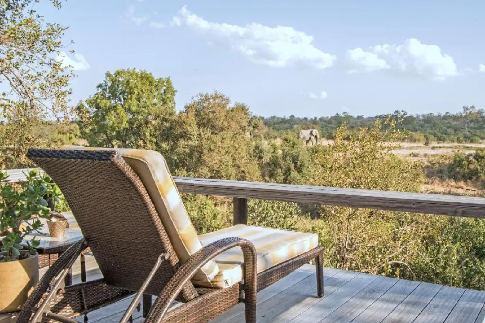 Thornybush Simbambili Lodge