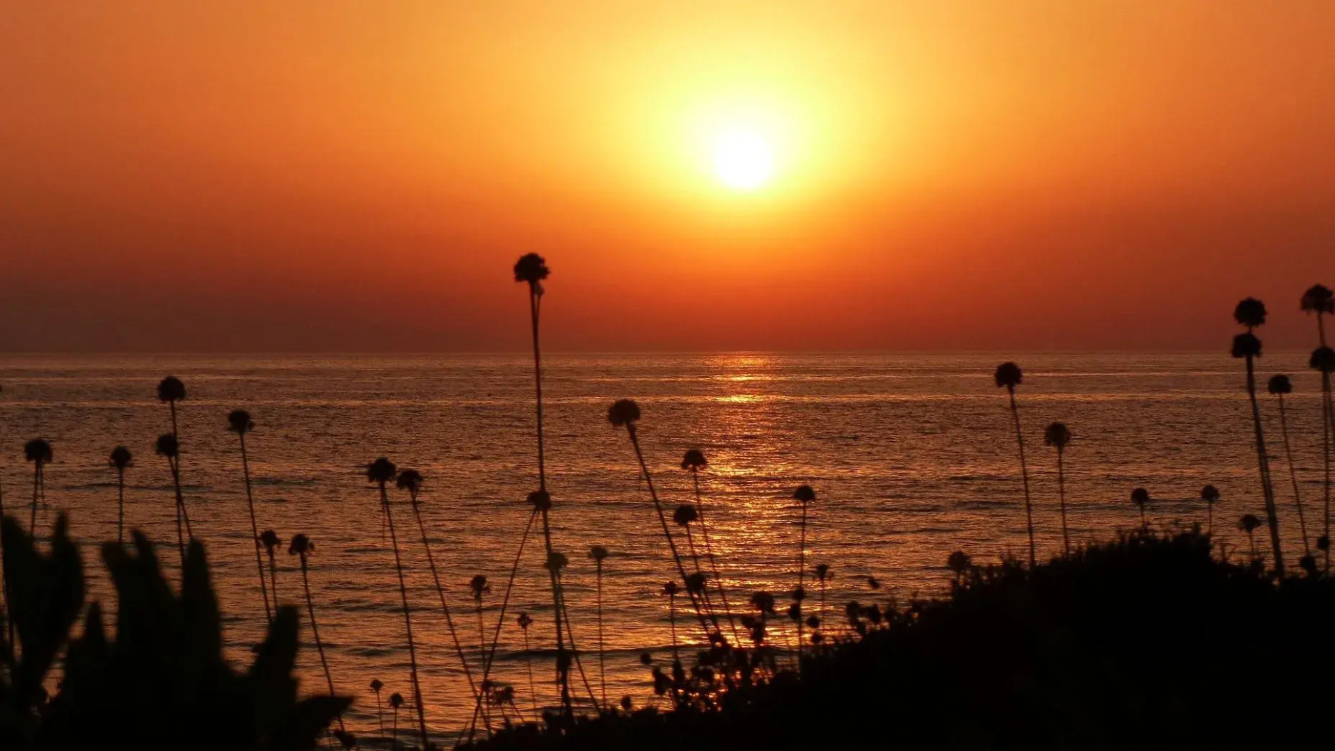 Genari Beach Apartments