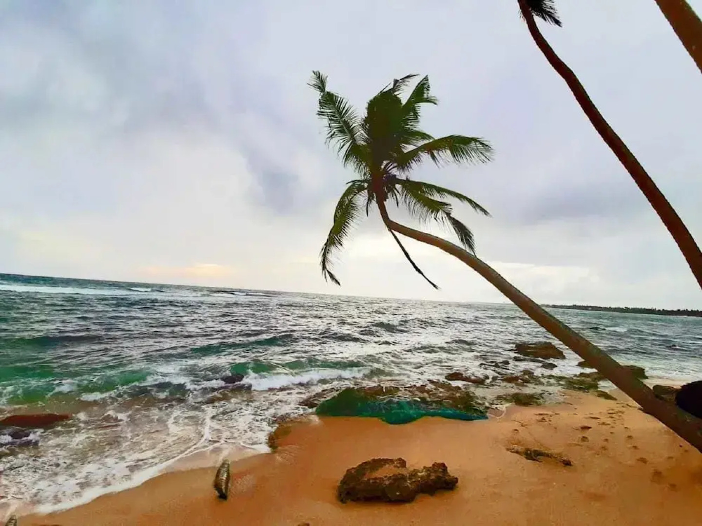 Akurala Beach Boutique Resort