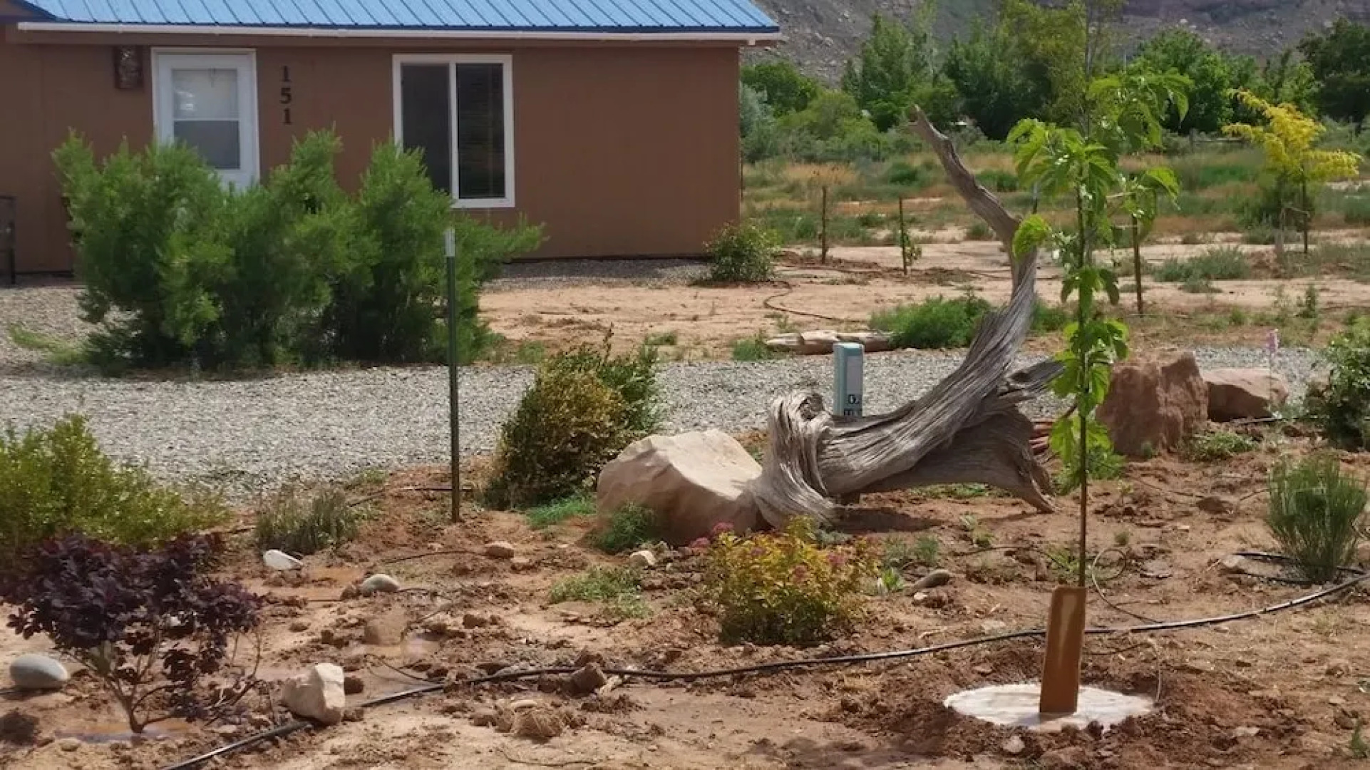 Stone Lizard Vacation Rentals