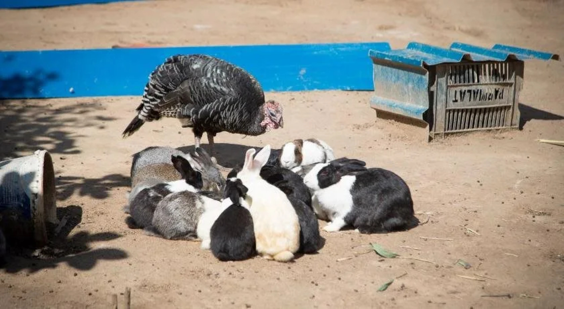 Mokorro Game Ranch and Lodge