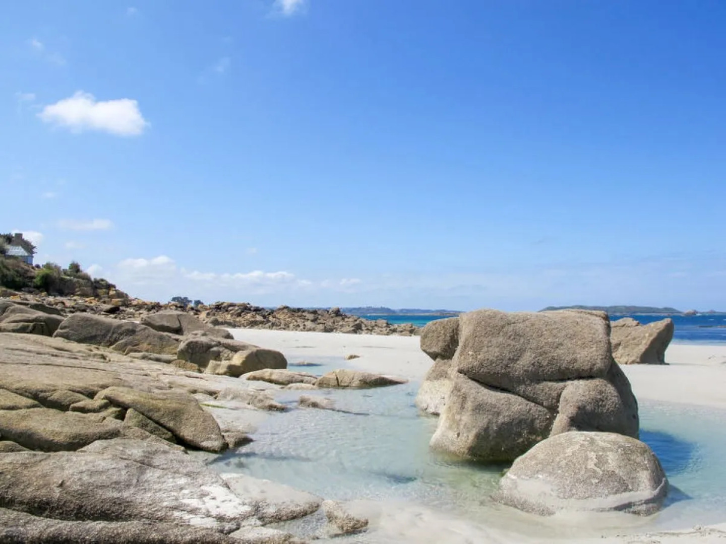 Les Courlis (TTT100)