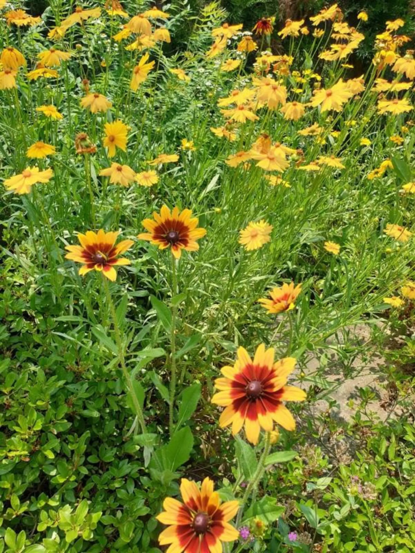 Yangpyeong Hayandohwaji Pension
