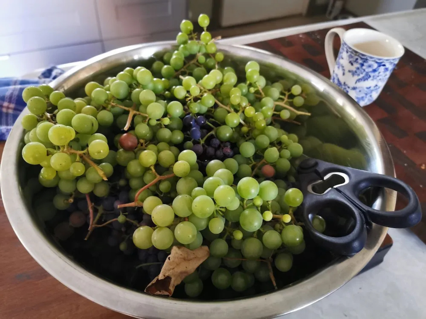 Delft Haus Bed & Breakfast