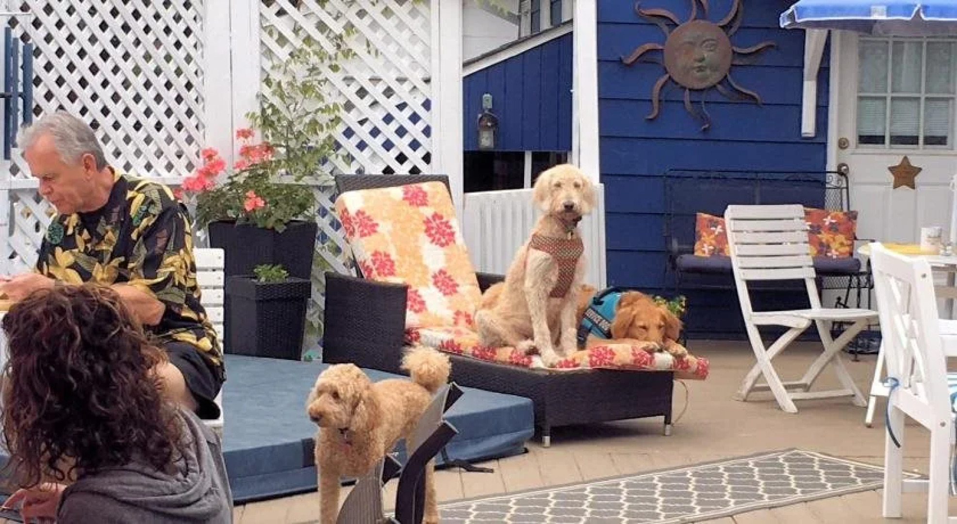 Bewitched & BEDazzled B&B @Rehoboth