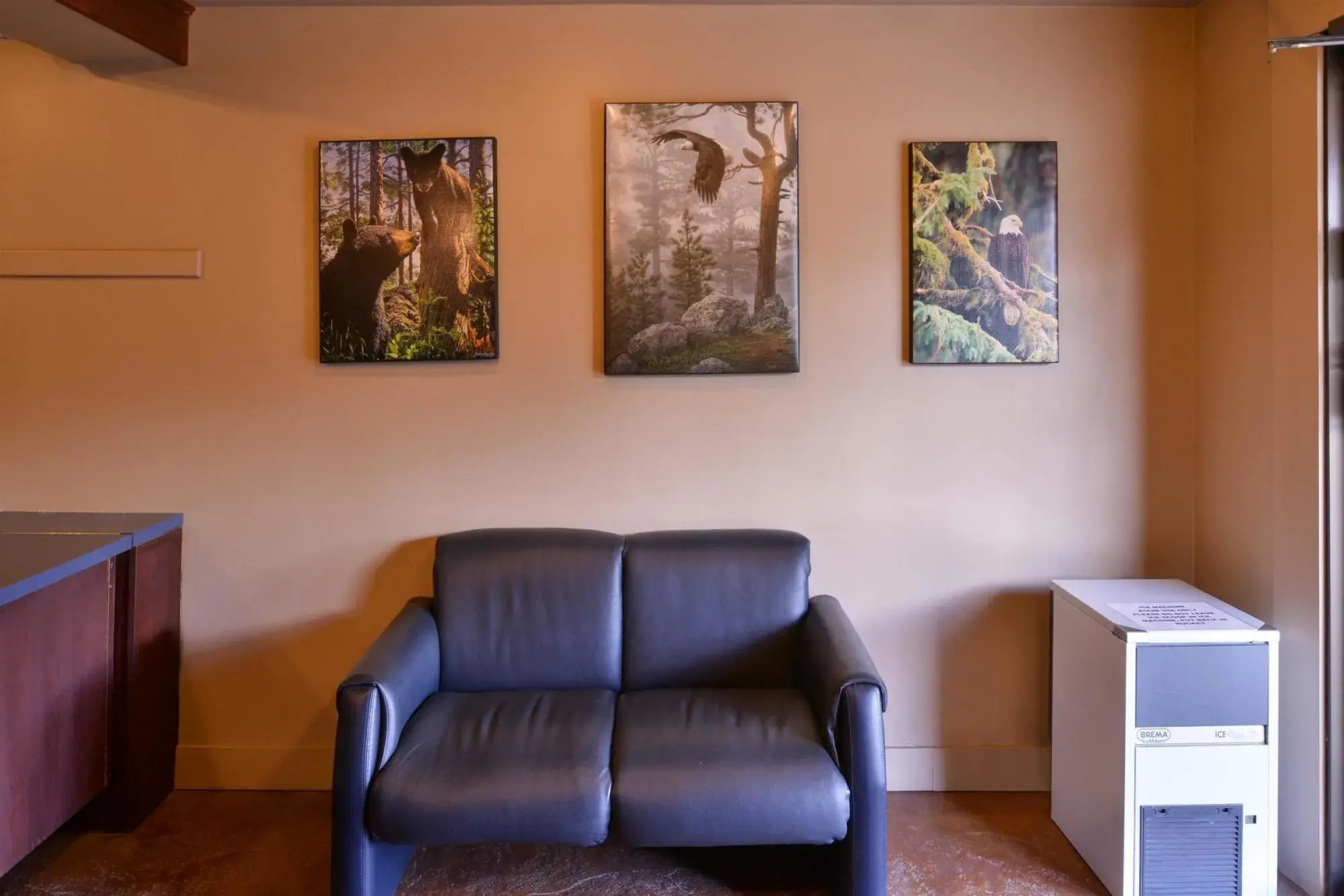 Canadas Best Value Inn and Suites Fernie