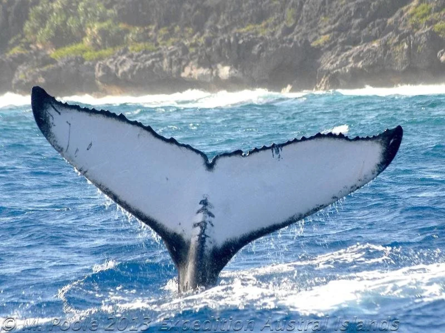 Pension La Perruche Rouge