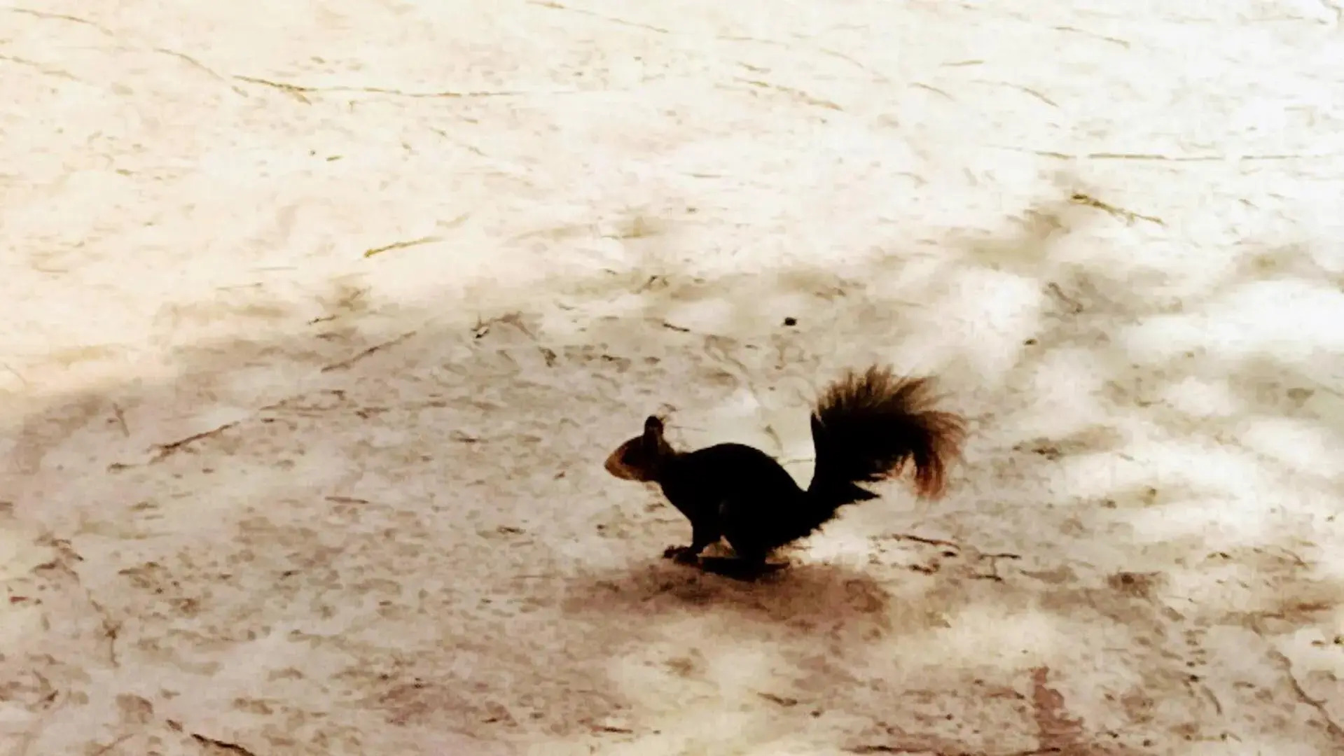 Las Yucas rural house