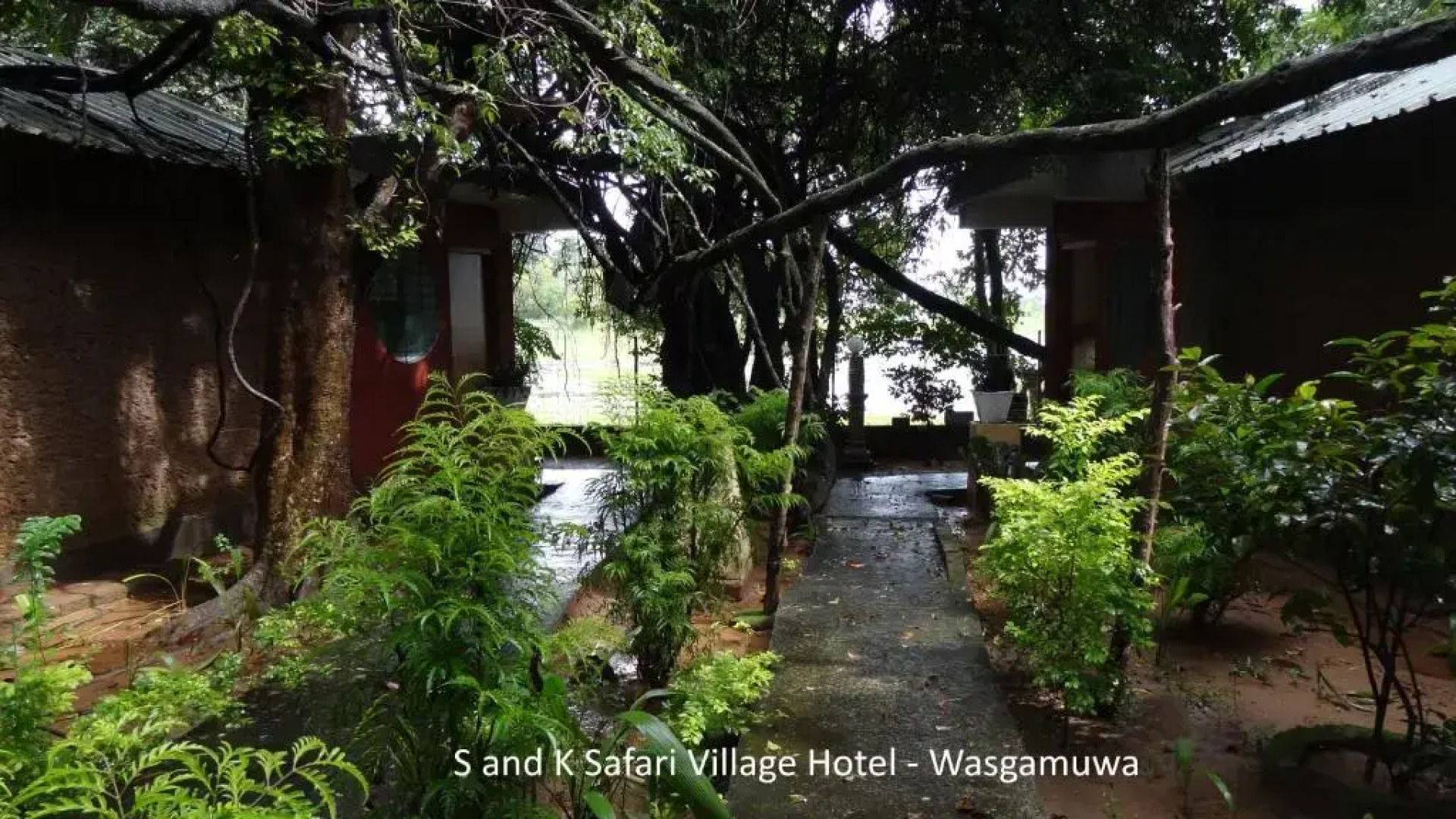 S and K Safari Village Hotel - Wasgamuwa