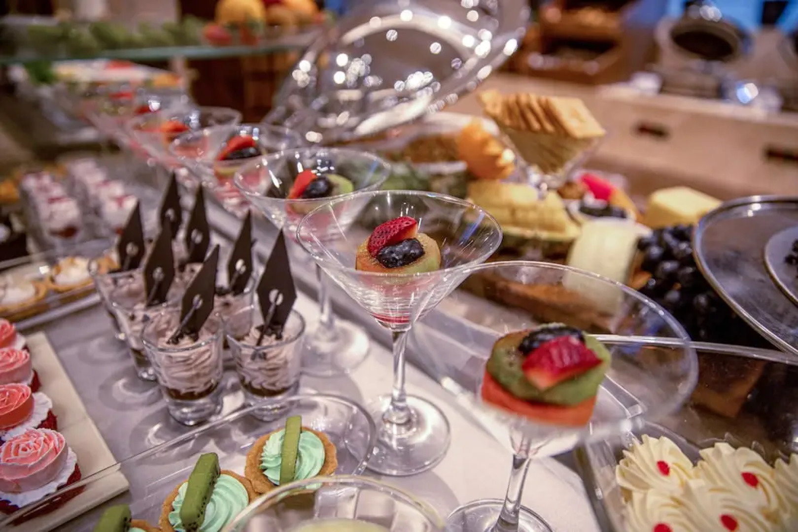 The Gaurs Sarovar Premiere