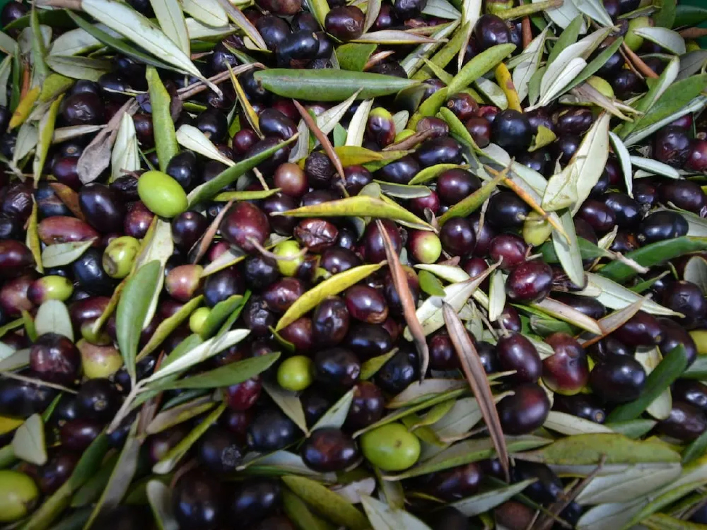 Charming Villa in Tuscany With Swimming Pool