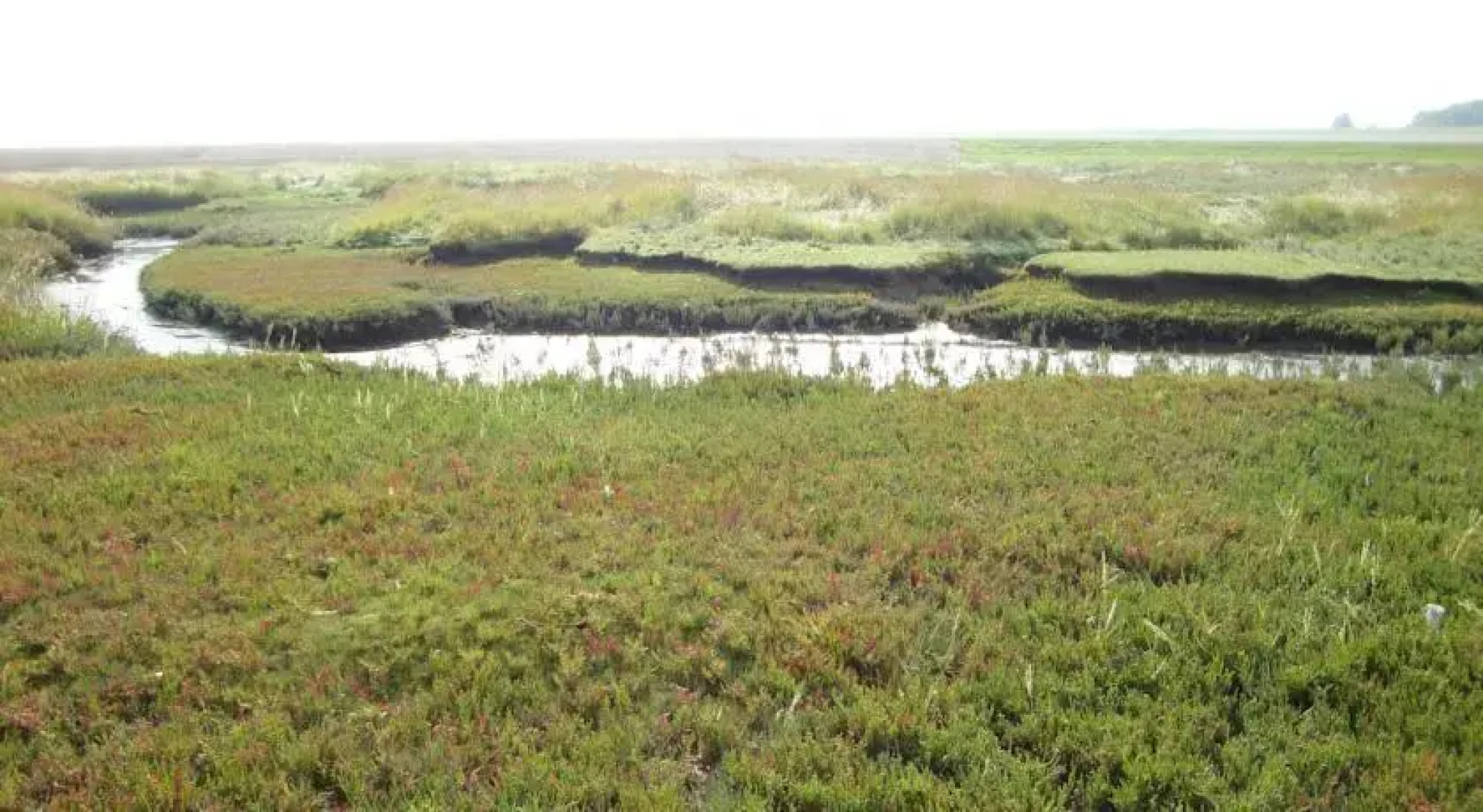 Boerderij Natuurlijk Mooi