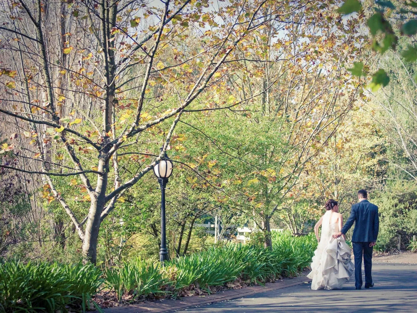 Mercure Ballarat Hotel and Convention Centre