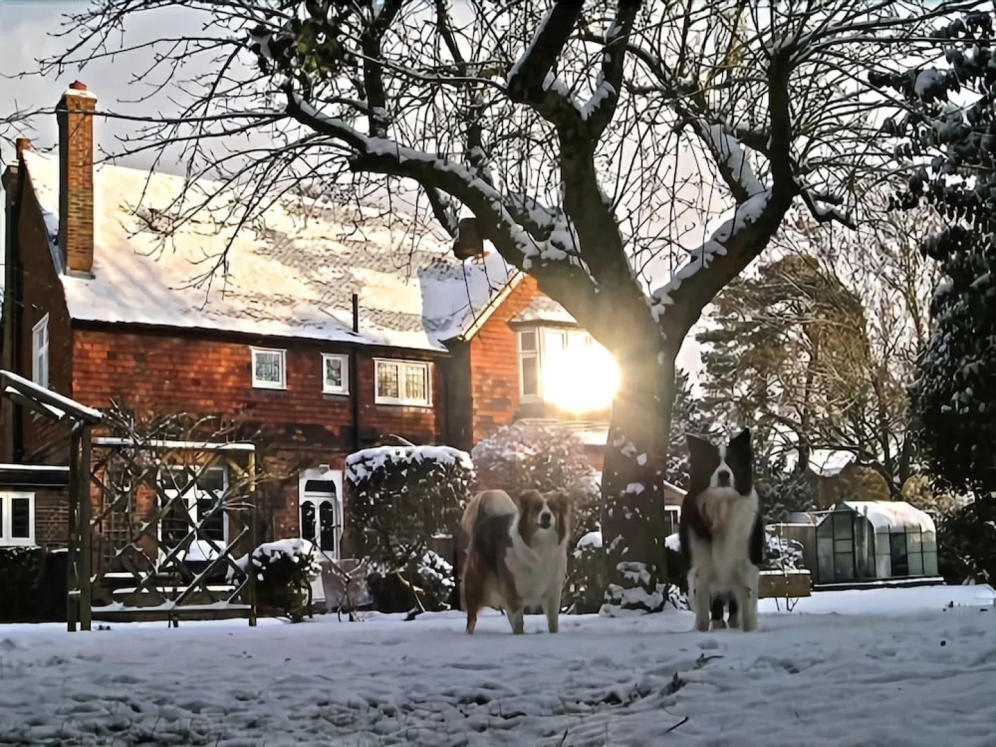 Vulcan Lodge Guest House