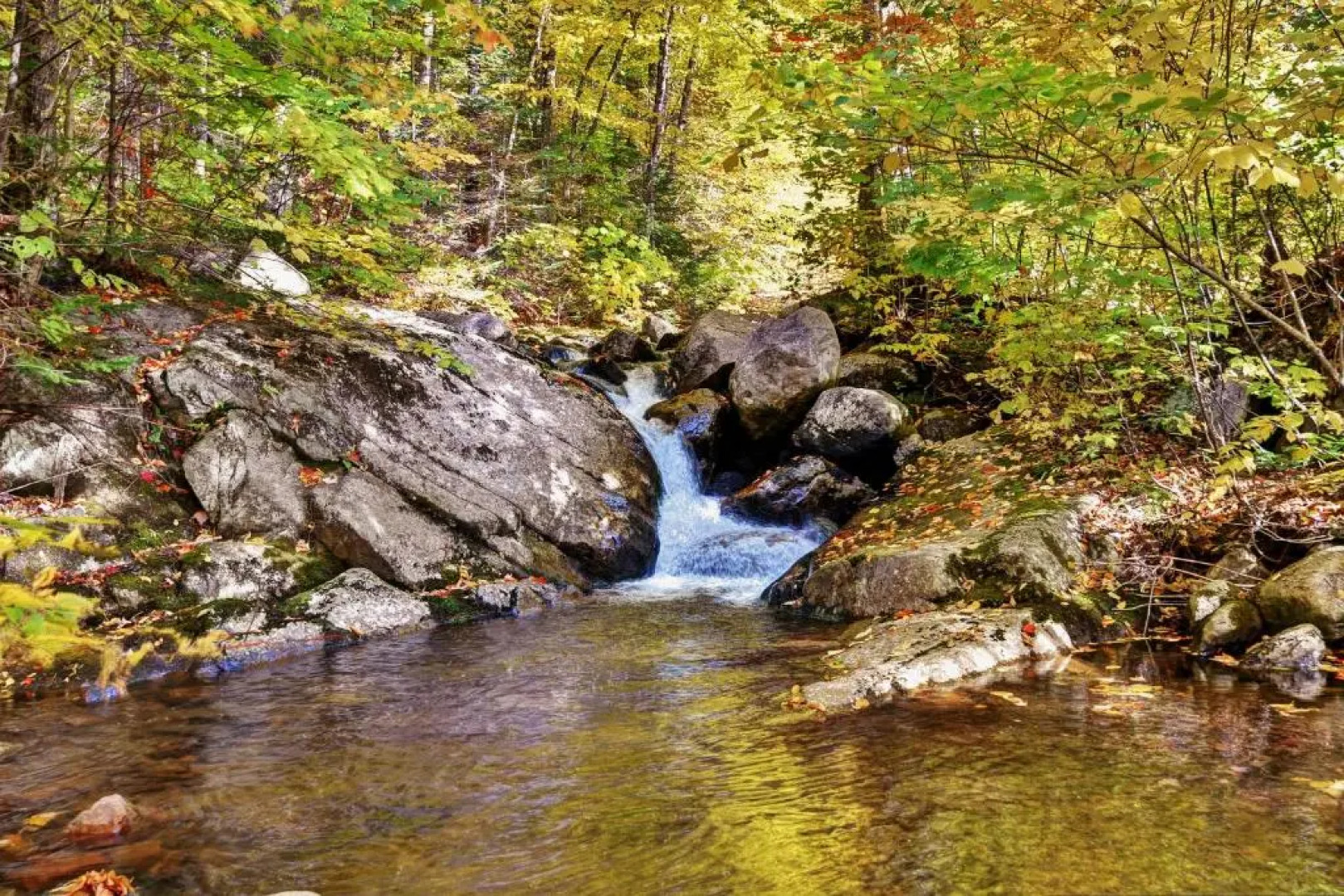 Chalets Alpins - 14 Chemin Alpin