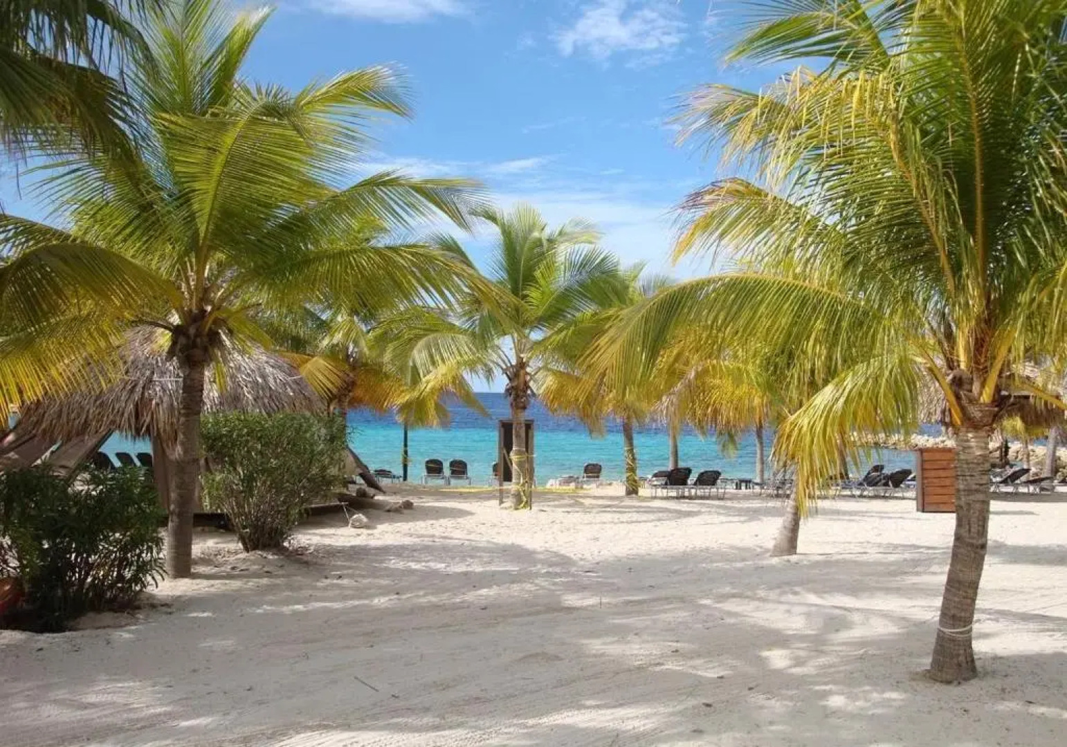 BLUE BAY CURACAO - Indigo Garden 28