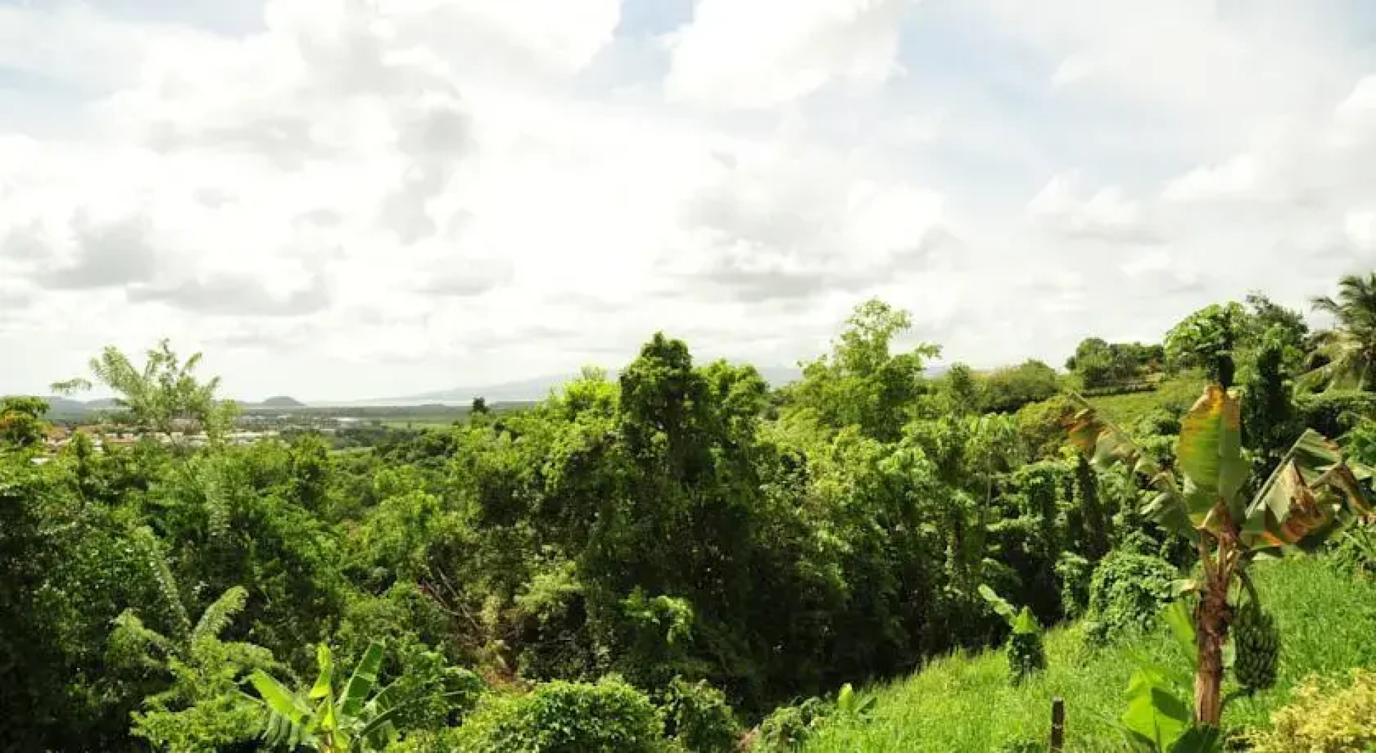 Le Refuge De La Haut