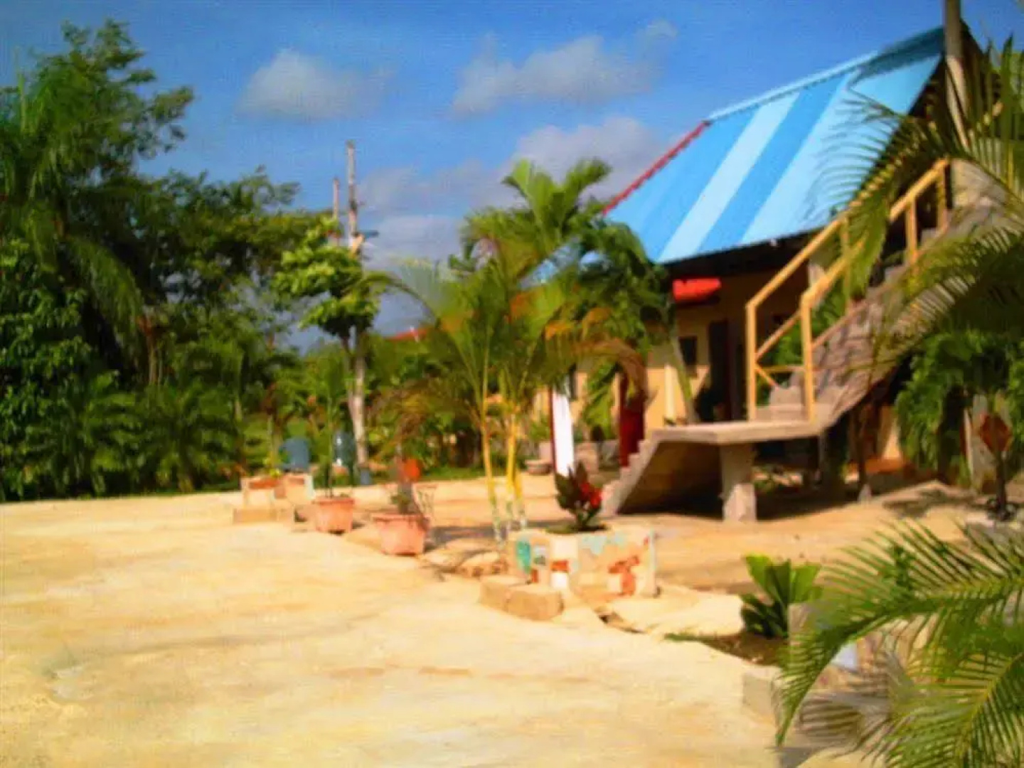 Super Palm Resort