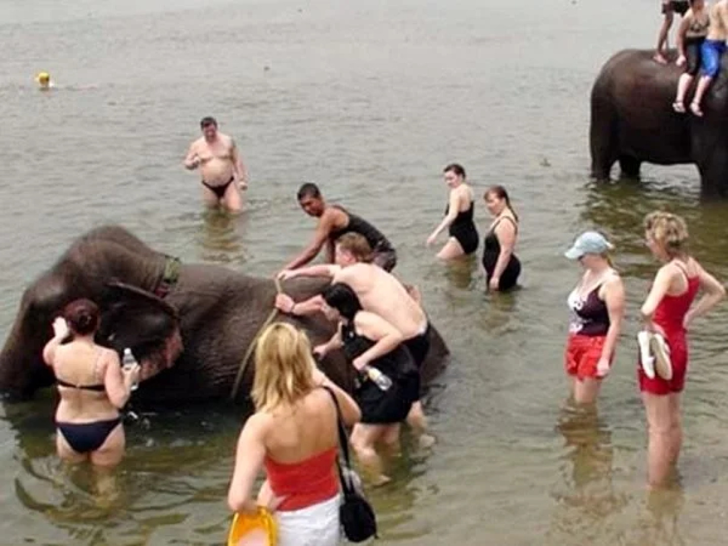 Safari Narayani Hotel- All Inclusive